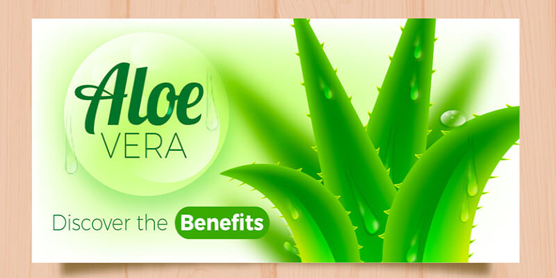 Aloe Vera For Acne Treatment 